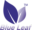 blueprint